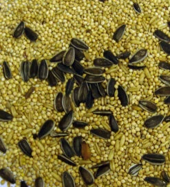 Bartholomews Colonels®Cockatiel Bird Seed Mix 20kg (Short Date 23rd January - REDUCED PRICING)