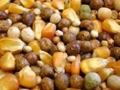 Bird Series Shop -Bird Series Shop 10853