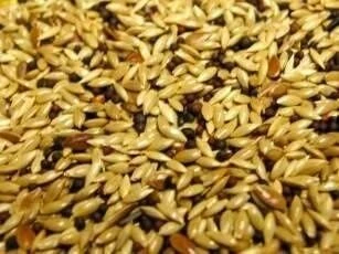 Willsbridge Super Canary Seed Mix 20kg 2 Willsbridge Super Canary Seed Mix 20kg - Image 2