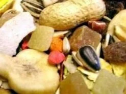 2 X 12.5kg Willsbridge Fruity Parrot Mix Bird Food Multibuy -Bird Series Shop 1231018181 willsbridgefruityparrot