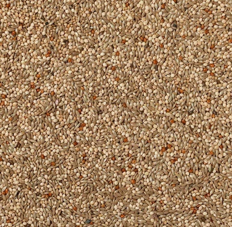 Johnston & Jeff Expert Budgie Seed 20kg 2 Johnston & Jeff Expert Budgie Seed 20kg - Image 2