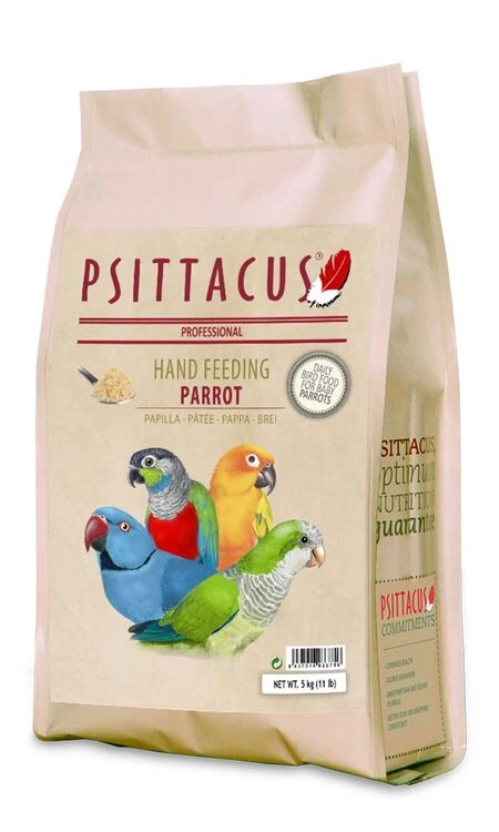 Psittacus Parrot Hand Feeding Food 1 Psittacus Parrot Hand Feeding Food