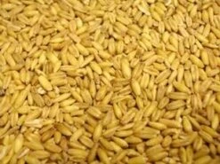 Albert E James Mornflake Oat Groats 25kg