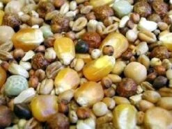 Bird Series Shop -Bird Series Shop 5490