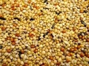 Countrywide Deluxe Foreign Finch Mix 20kg 2 Countrywide Deluxe Foreign Finch Mix 20kg - Image 2