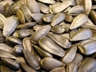 Countrywide Black Sunflower 13kg 2 Countrywide Black Sunflower 13kg - Image 2