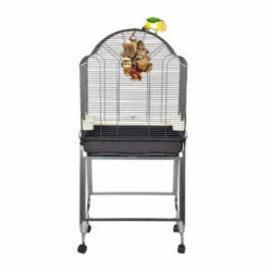 Sky Pet Products Rainforest Brasil II Antique Bird Cage