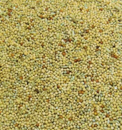 Bartholomews Colonels® BBB Budgie Bird Seed Mix 20kg