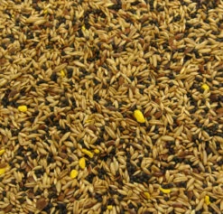 Bartholomews Colonels® Canary No. 2 Bird Seed Mix 20kg