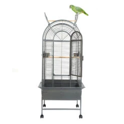 Sky Pet Products Ecuador Antique Bird Cage