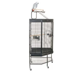 Sky Pet Products Liberta Alaska Corner Parrot Cage -Bird Series Shop alaska c
