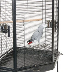 Sky Pet Products Liberta Alaska Corner Parrot Cage