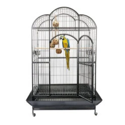 Sky Pet Products Liberta Atlantis Bird Cage
