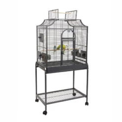 Sky Pet Products Rainforest Amazona I Bird Cage