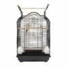 Sky Pet Products Fun Arizona Cockatiel Bird Cage