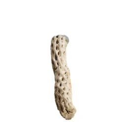 Sky Pet Products Cactus Perch Large