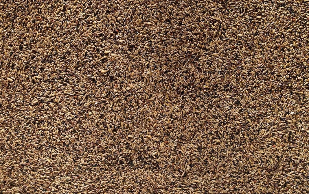 Johnston & Jeff Canary Food Light No Rape Seed 20kg 2 Johnston & Jeff Canary Food Light No Rape Seed 20kg - Image 2