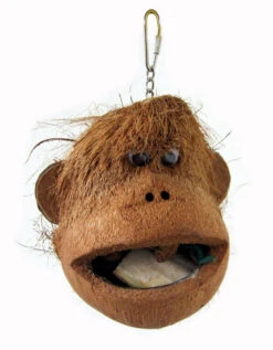 Sky Pet Products Java Coco Monkey Bird Toy