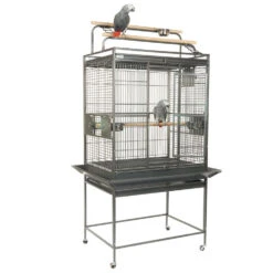 Sky Pet Products RC Dakota Antique Bird Cage