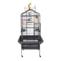 Sky Pet Products Eagle Antique Bird Cage