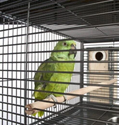 Sky Pet Products Parrot Grande Triple Cage -Bird Series Shop grand triple 5