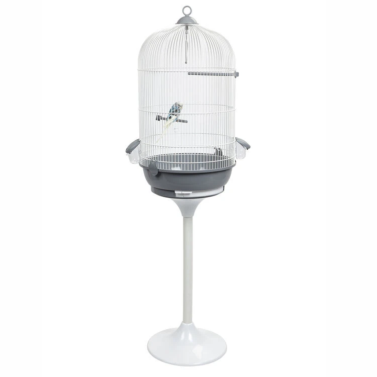 Sky Pet Products Mandelieum Bird Cage 1 Sky Pet Products Mandelieum Bird Cage