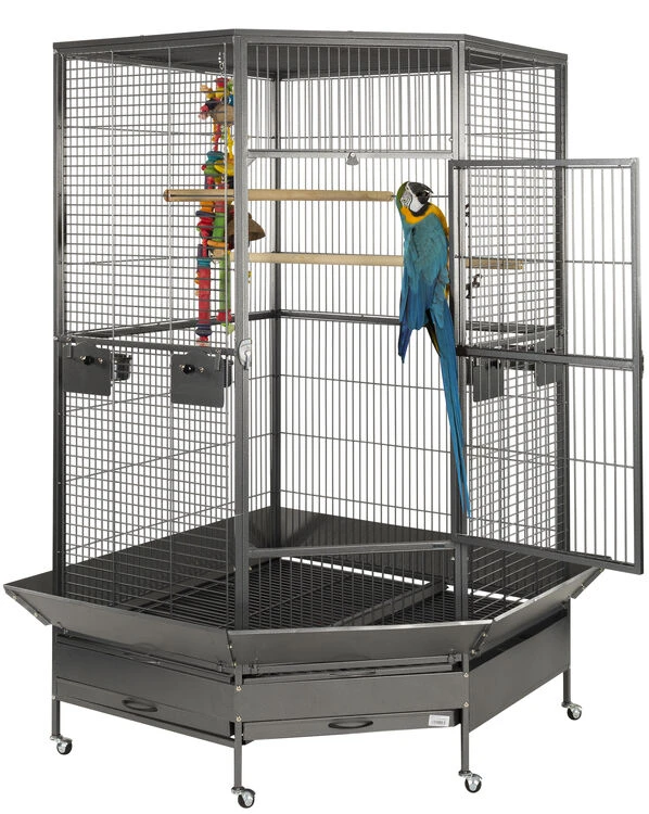 Sky Pet Products Raleigh Antique Corner Bird Cage 1 Sky Pet Products Raleigh Antique Corner Bird Cage