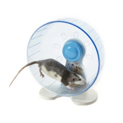 Sky Pet Products Rodent Wheel Small -Bird Series Shop rodent wheels 4 7718 26 7719