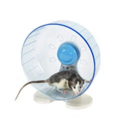 Sky Pet Products Rodent Wheel Small -Bird Series Shop rodent wheels 5 7718 26 7719