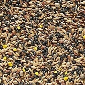 Johnston & Jeff Canary Favourite Mixed Seed 20kg 1 Johnston & Jeff Canary Favourite Mixed Seed 20kg