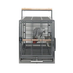 Sky Pet Products Safari Antique Bird Travel Cage -Bird Series Shop safari a