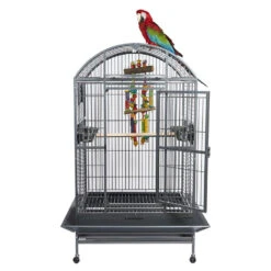 Sky Pet Products Santos Dome Antique Bird Cage