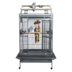 Sky Pet Products Santos Play Antique Bird Cage