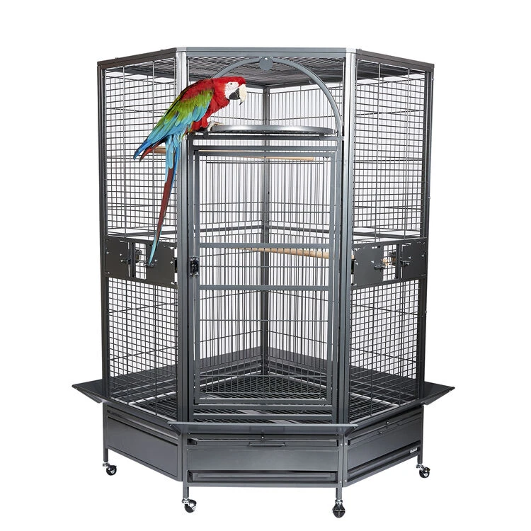 Sky Pet Products Toronto II Corner Bird Cage 1 Sky Pet Products Toronto II Corner Bird Cage