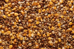 Bird Series Shop -Bird Series Shop vital 11244